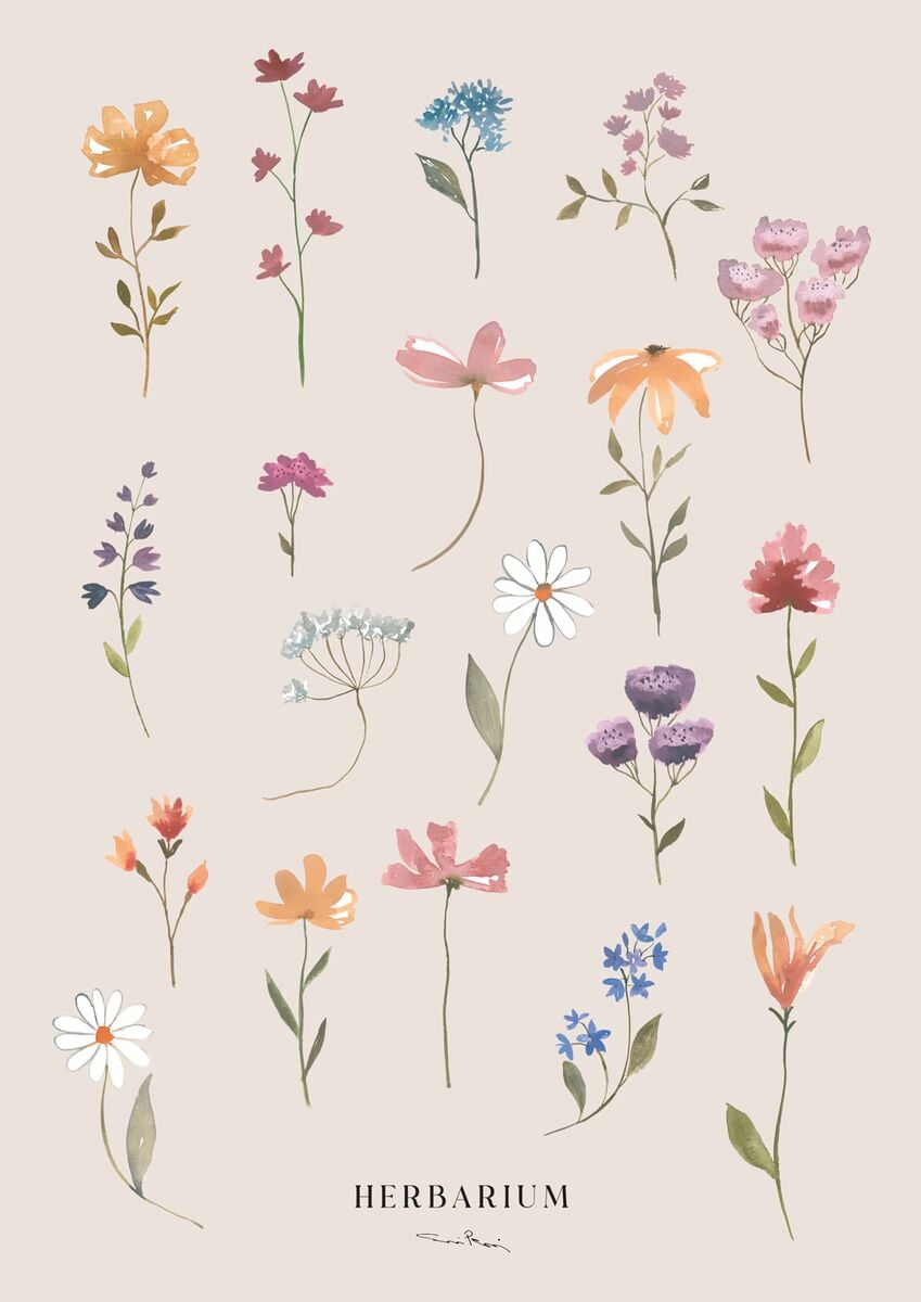 Kaverini Herbarium juliste 50x70 cm